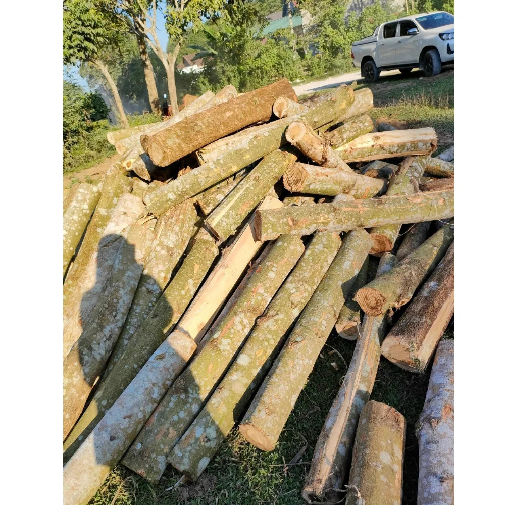 Лидер продаж дешевые деревянные бревна акации для импортеров из Вьетнама