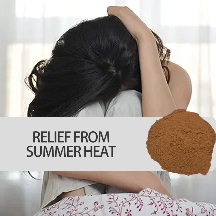 factory manufacturers supply fresh pure best quality extract dried patchouli powder