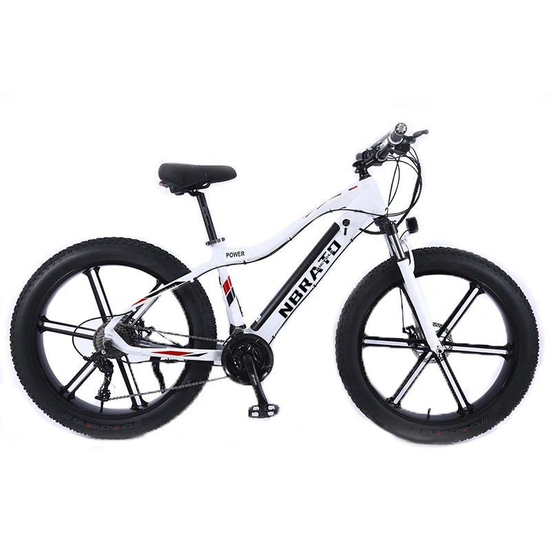 Canada warehouse 1000W E bike aluminum alloy built-in lithium electric mountain bike fat tire bike 26 inch bicycle