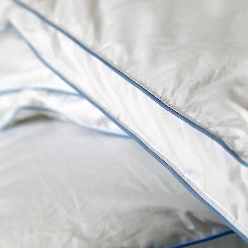 High Quality Down Duvet Goose Duck Down Feather Quilt 100% Duvet Cotton All Seasons Soft Duvet