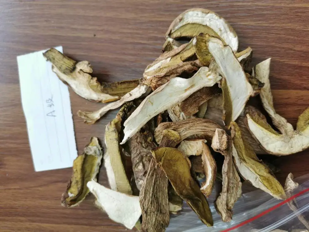 
Detan Dried Sliced Boletus Edulis Market Prices Phlebous Portentosus mushroom 