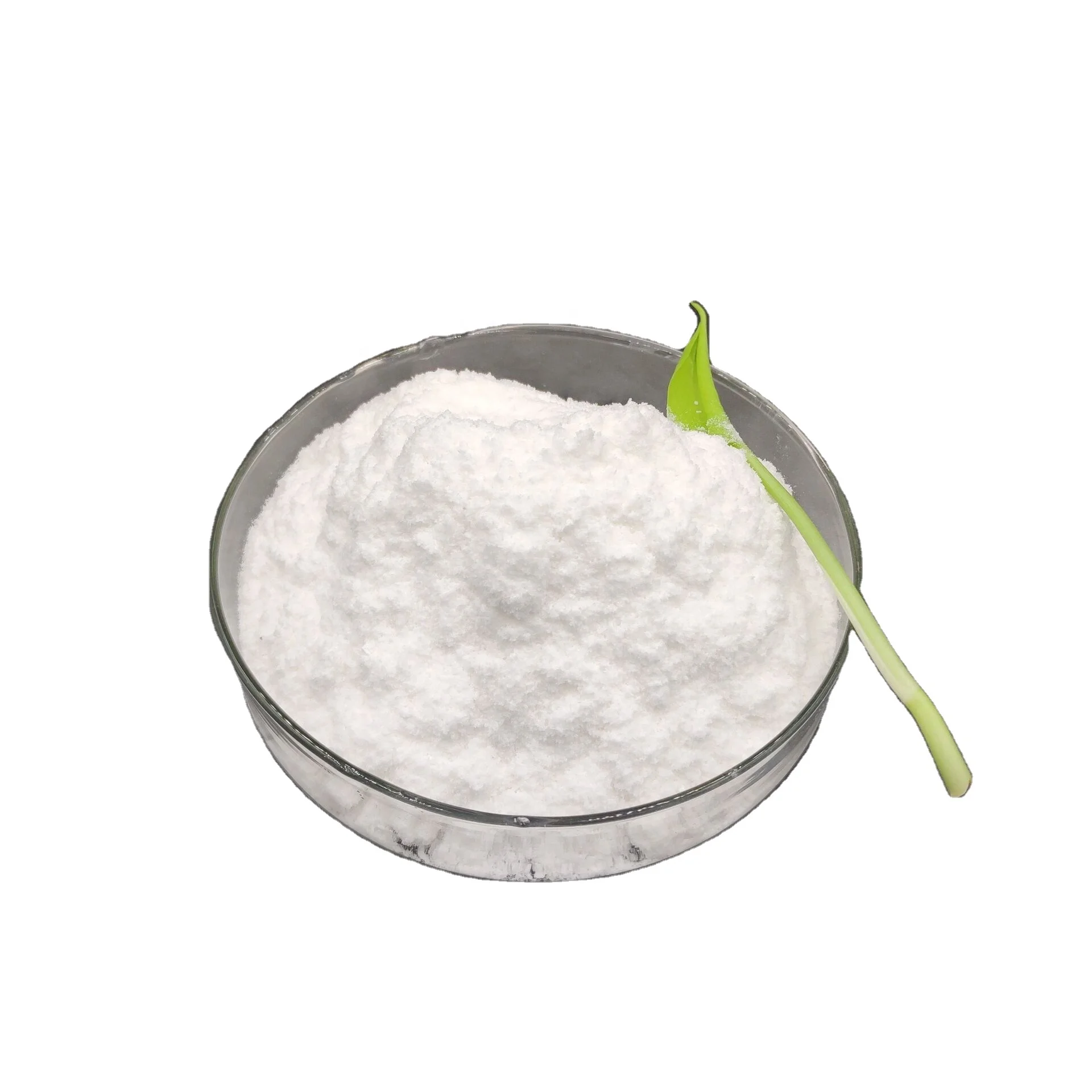 
High Purity Sodium chlorite 80% powder /CAS NO: 7758-19-2 