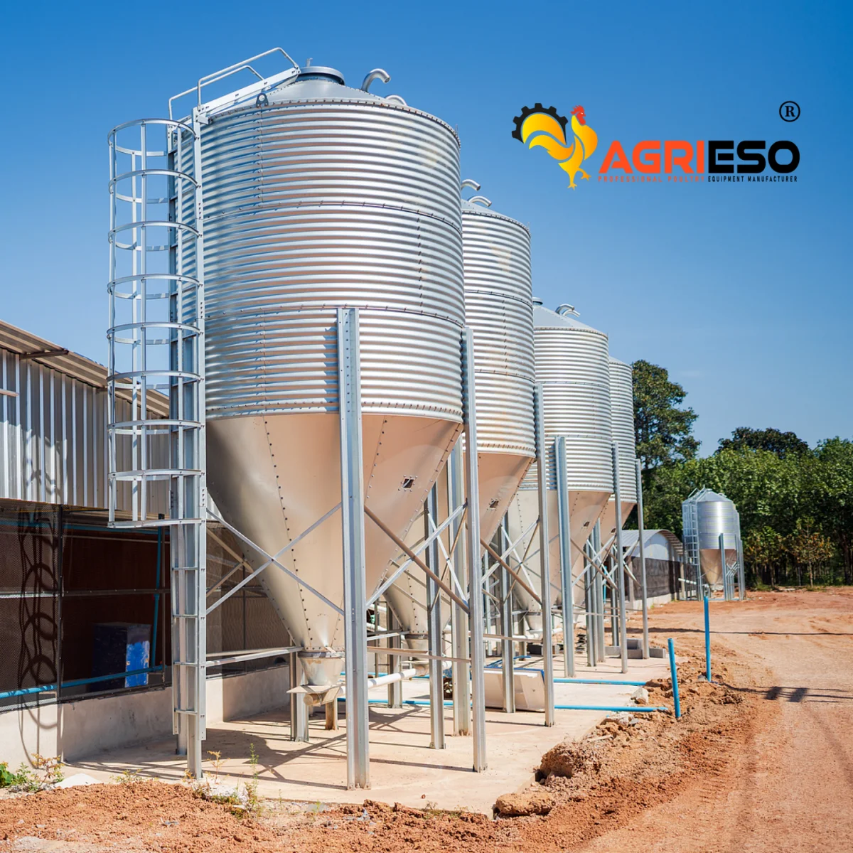 Agrieso AGS Single Layer 1.6 Ton Galvanized Steel Poultry Feed Grain Storage Silos Hopper For Chicken Food
