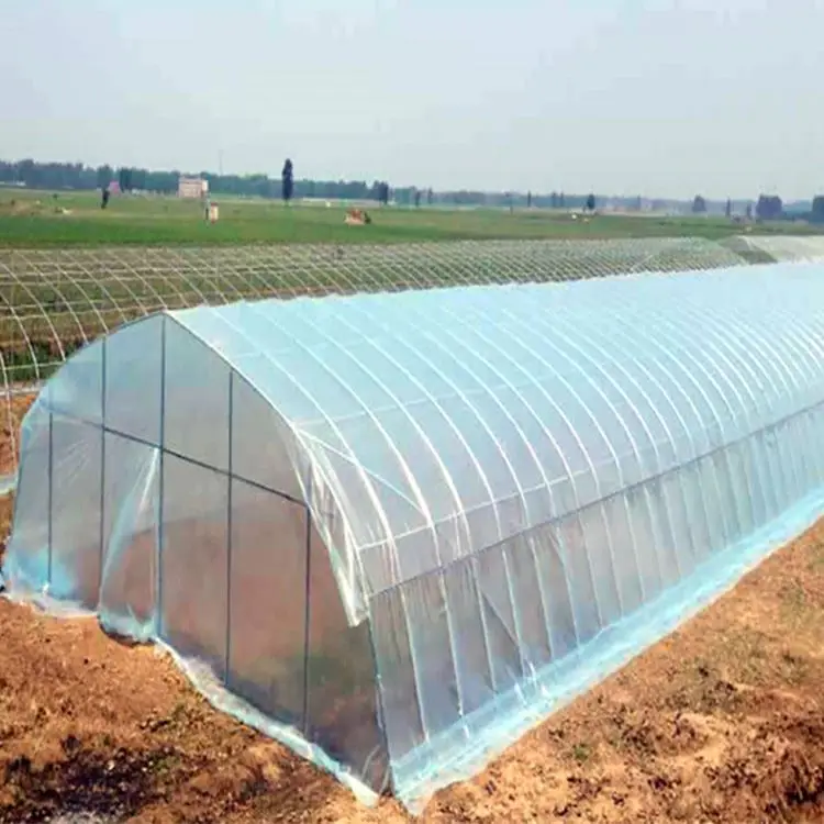 Производитель производит простые теплицы для посадки овощей и фруктов весенне-осенние арочные теплицы