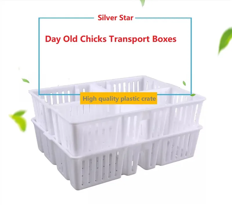 Transport box for chicks1.jpg