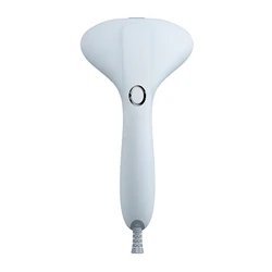 Handheld Steam iron steam brush portable steam iron with VDE plug-Stock selling