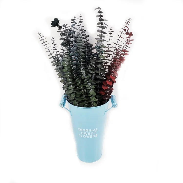 summer flora New style party return gifts marriage colorful dried flower preserved flower eucalyptus