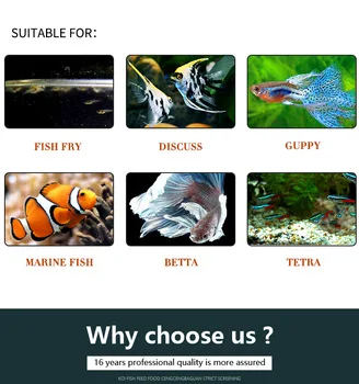 Wholesale Fish Feed Food Decapsulated Artemia Cysts Brine Shrimp Eggs Artemia