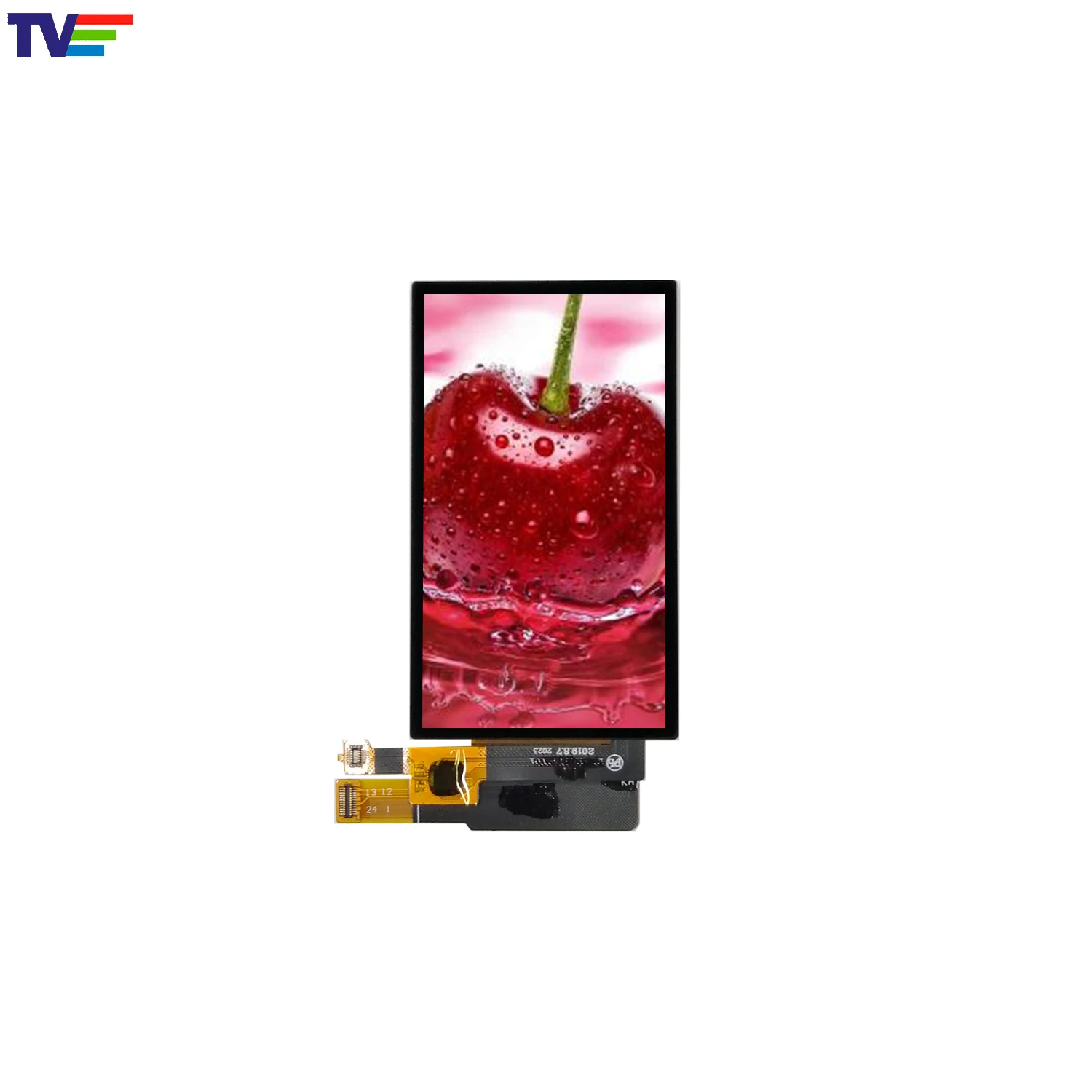 IPS 3.1 inch 480x800  TFT LCD Display Module with touch panel