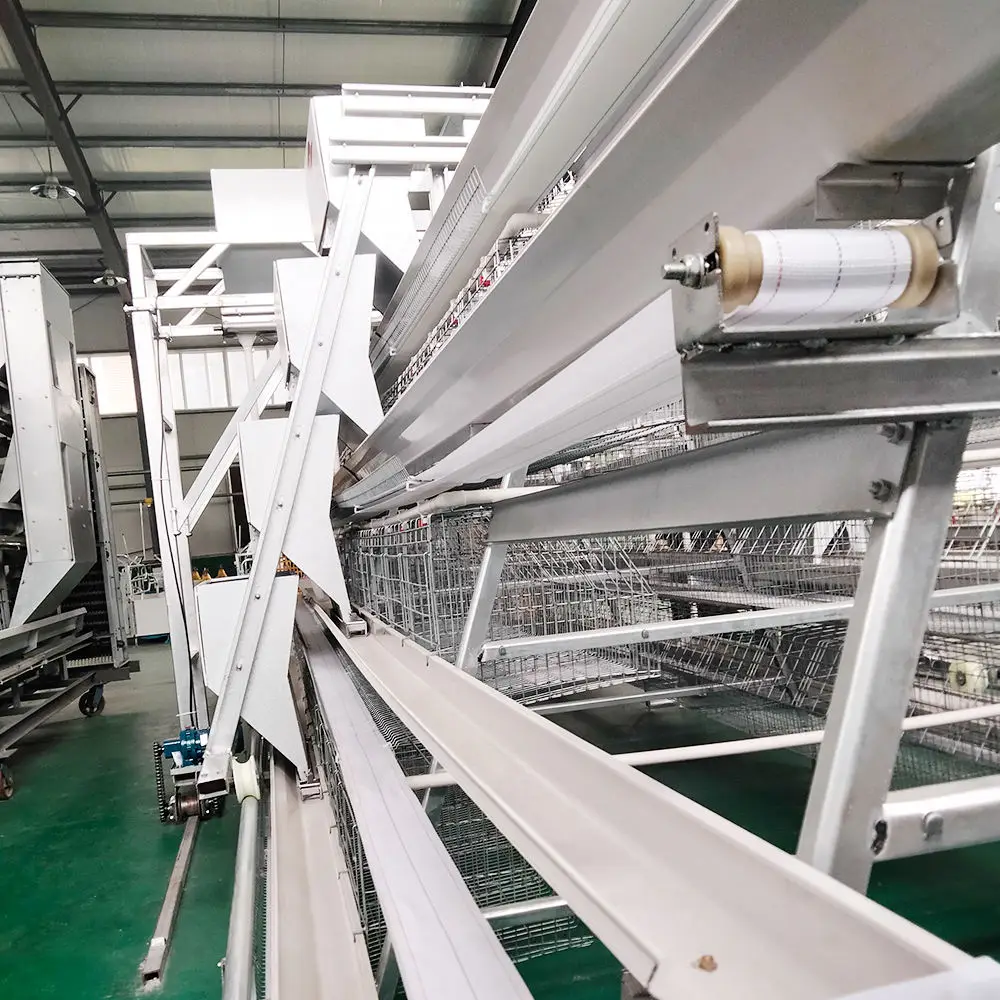 High Quality a Type Egg Laying Equipment Hen Poultry Farm Chicken Cages Egg Layer