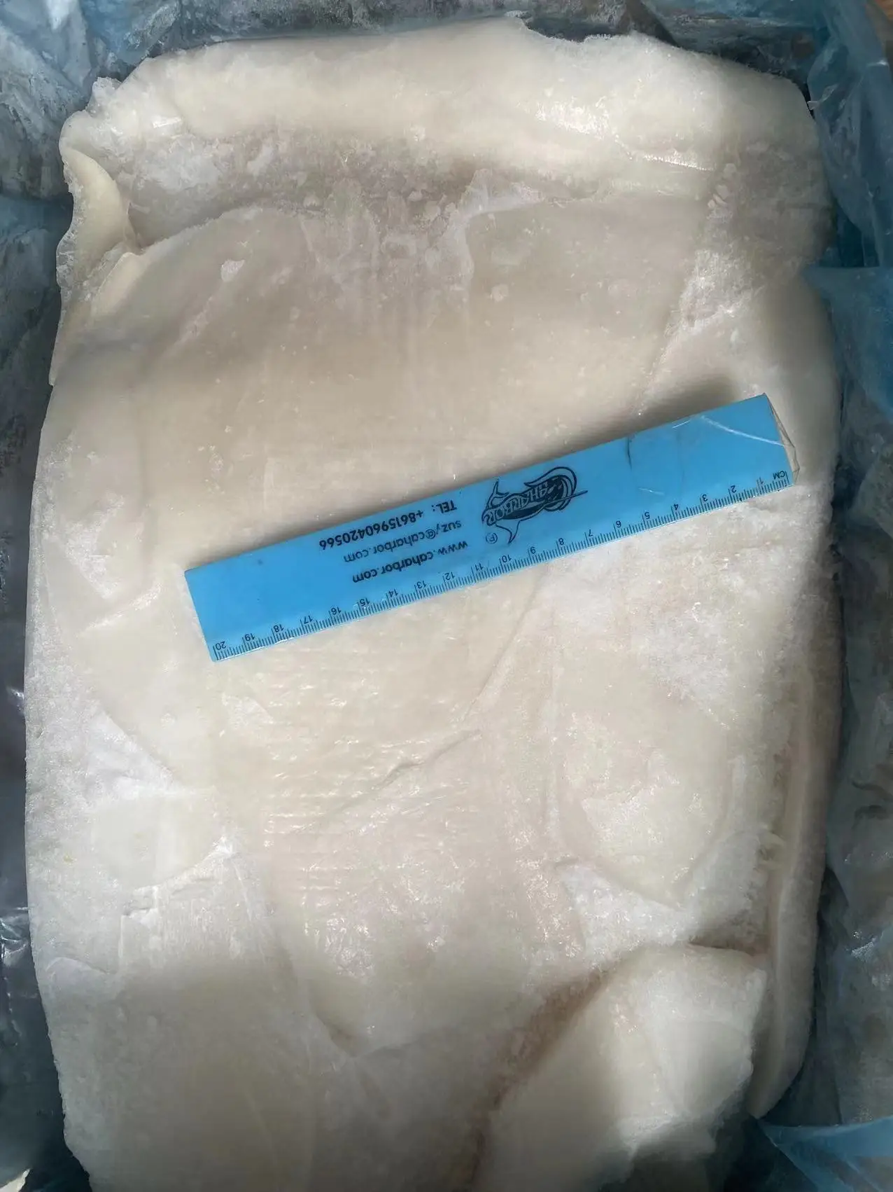 new process skinless high quality hot sale frozen giant squid fillet