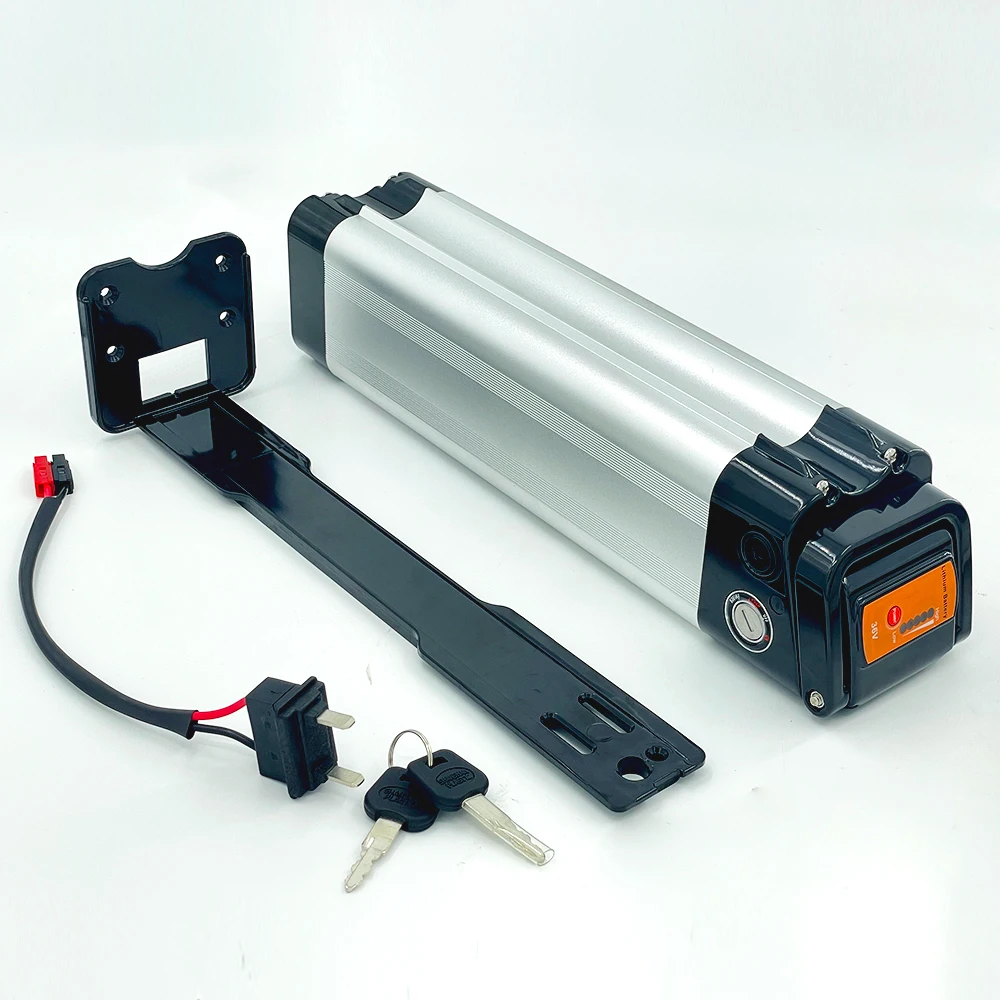 Silverfish Electric Bike 48v 1000w 18650 Cell Lion Lithium Battery with 20ah Nominal Capacity 36v-48v Volt Options