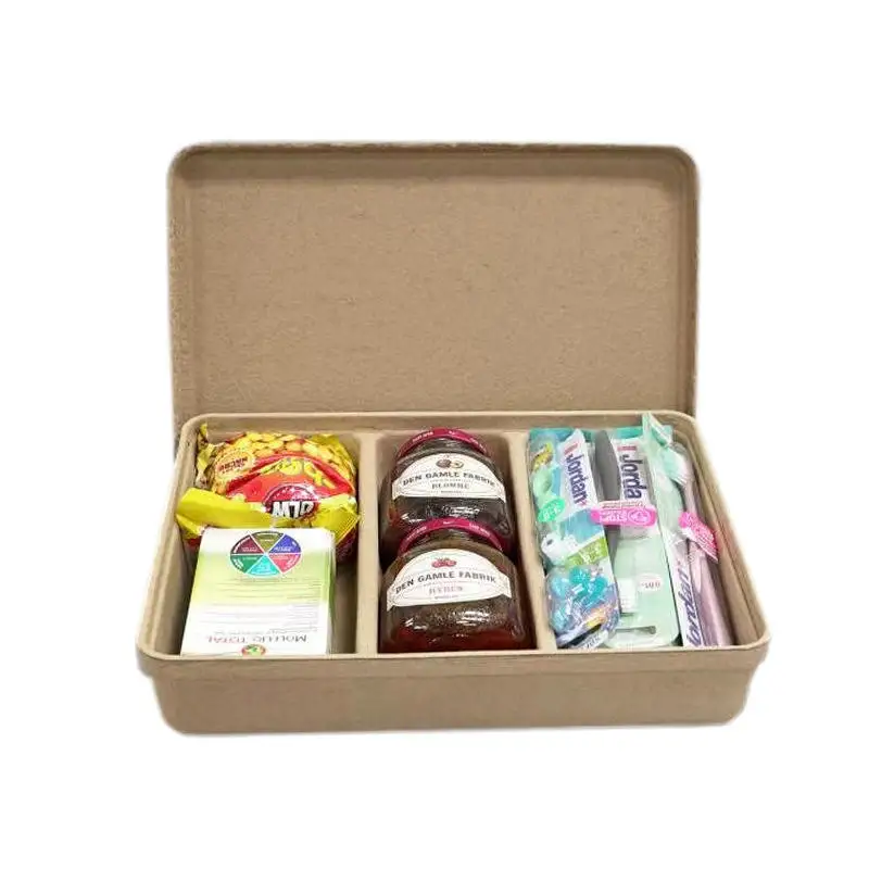 Wholesale Biodegradable Molded Paper Pulp Storage Box Picnic Packaging Boxes with Lid`