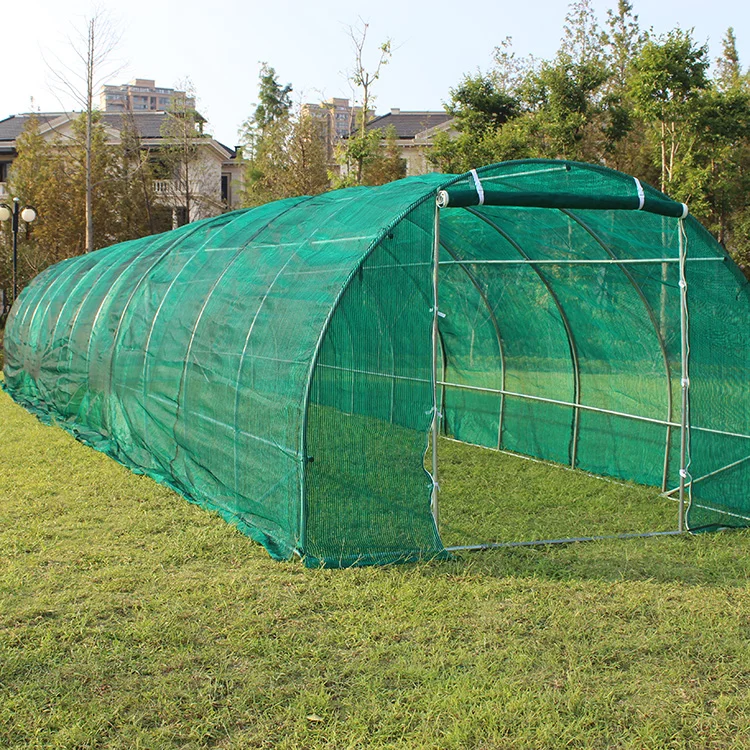 TLSP163 new type solar all mushroom 1200cm(L) x300cm(W)x200cm(H) size polytunnel greenhouse-36m2 farm