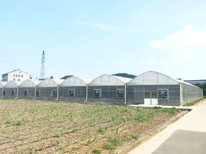 China  plastic  conservatory  ploytunnel winter commercial  chinese tomato/mushroom agricultural plastic film  greenhouses