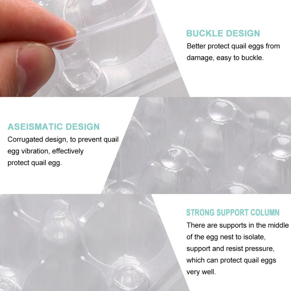 PET Plastic Jumbo Quail Egg Tray Packing Blister 12 18 30 Holes Supplier Vacuum Formed Quail Eggs Tray Boxes
