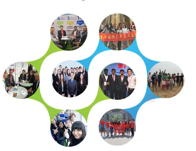 China Rutile Grade Titanium Dioxide of TiO2 R5566  for Coating/Paint/Ink/Plastics/Paper