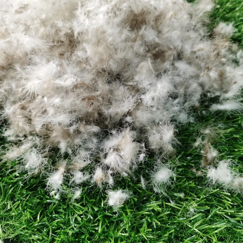 Good Quality Soft Windproof Bulk Filled Pluming Grey 95% High Fill Power Washed Duck Down Textile Raw Material for Duvet