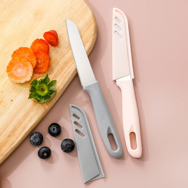 Stainless Steel Fruit Paring Knife with Plastic Handle