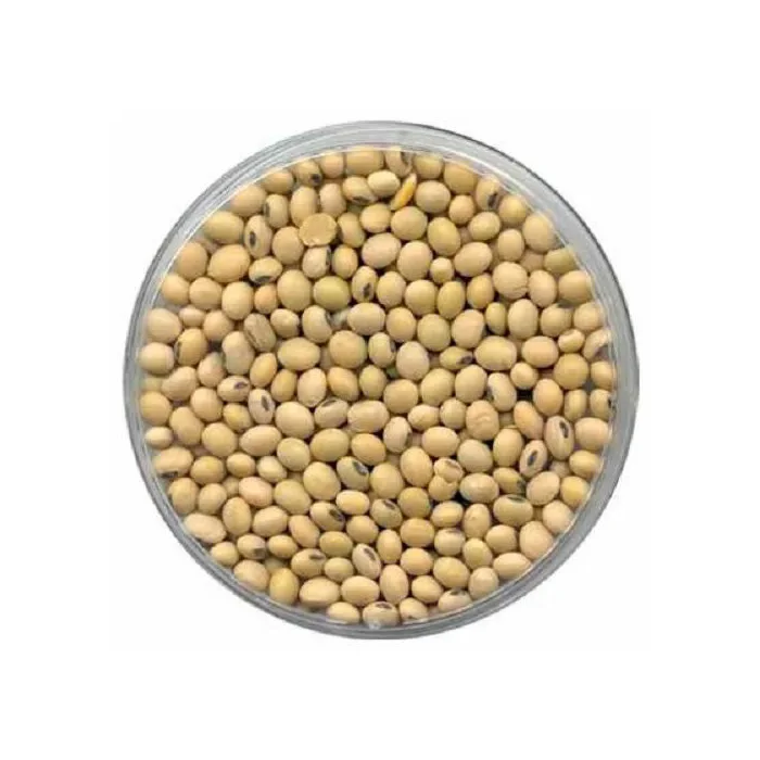 Соевый дракон, весенний урожай, Органическая очищенная упаковка в замороженном стиле, острый цвет, Осенние характеристики, Семена сои ГМО