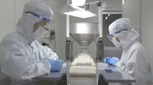 
ant powder powder made in Japan 