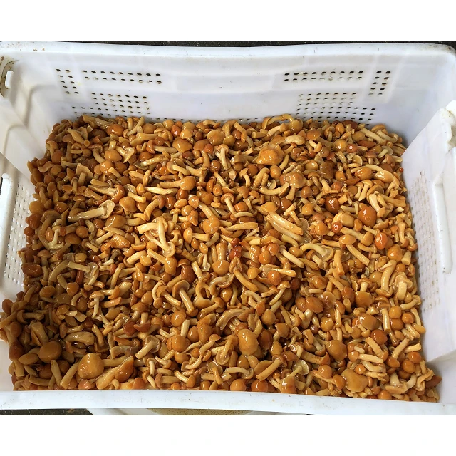  Варенный гриб nameko в рассоле барабанах