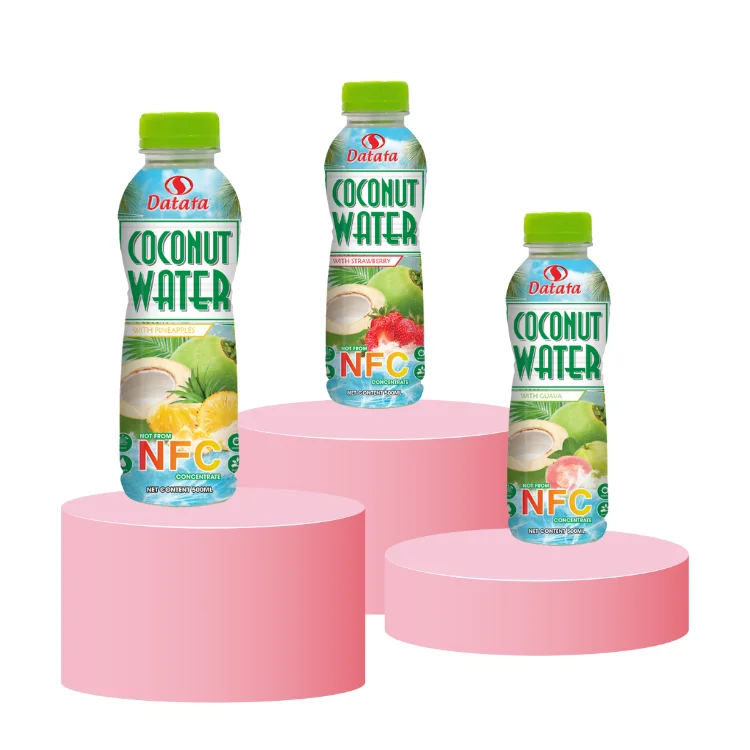 Coconut Drink Nfc Beverages Beverage Tea Haccp Certification Oem Service Carton Box Made In Vietnam Manufacturer