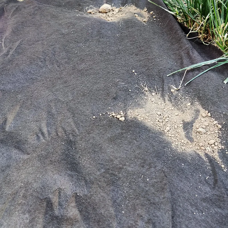 72cm x 8cm black PLA Round mat Weed control fabric agriculture mulch mat cacao tree weed barrier