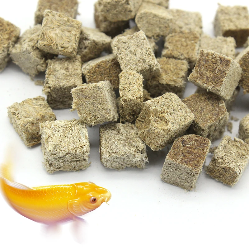 freeze dried tubifex worms for aquarium fish