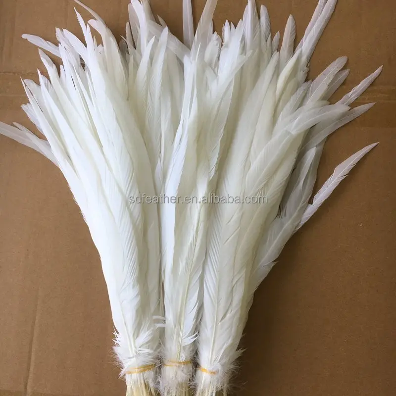 Wholesale Super White 40-45cm Rooster Tails Feather Chinese Coque Feathers For Carnival Costume Samba Fly Tying