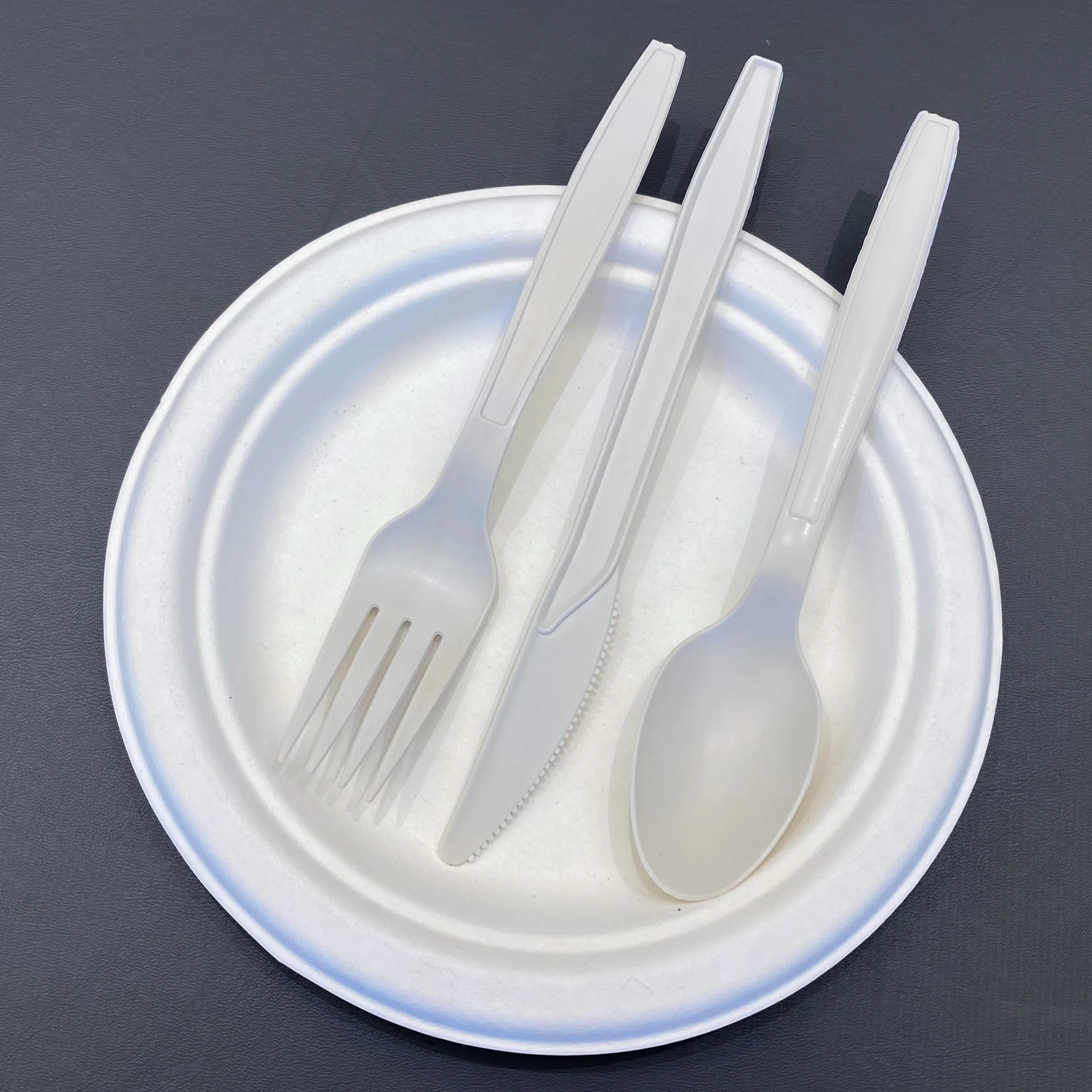 Custom Eco Friendly Individual Bag Plant Cornstarch Tea Soup Spoon Biodegradable Cutlery Disposable