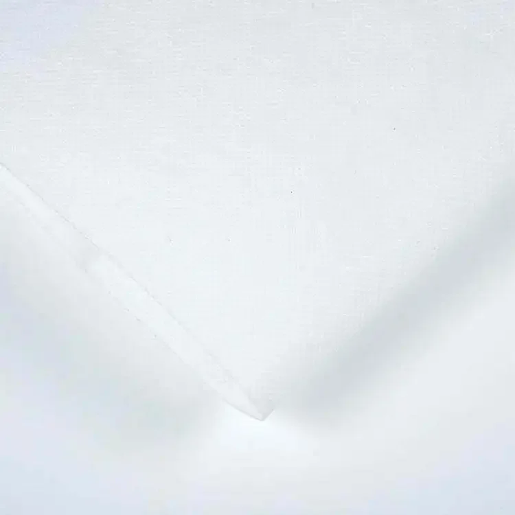 Breathable White Tnt Spunbond 100% Polypropylene Pp Nonwoven Fabric Rolls
