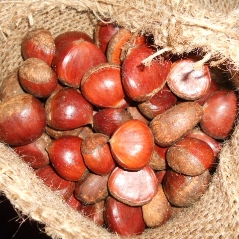 2021 новый урожай и лучшее качество, Китайский органический каштан