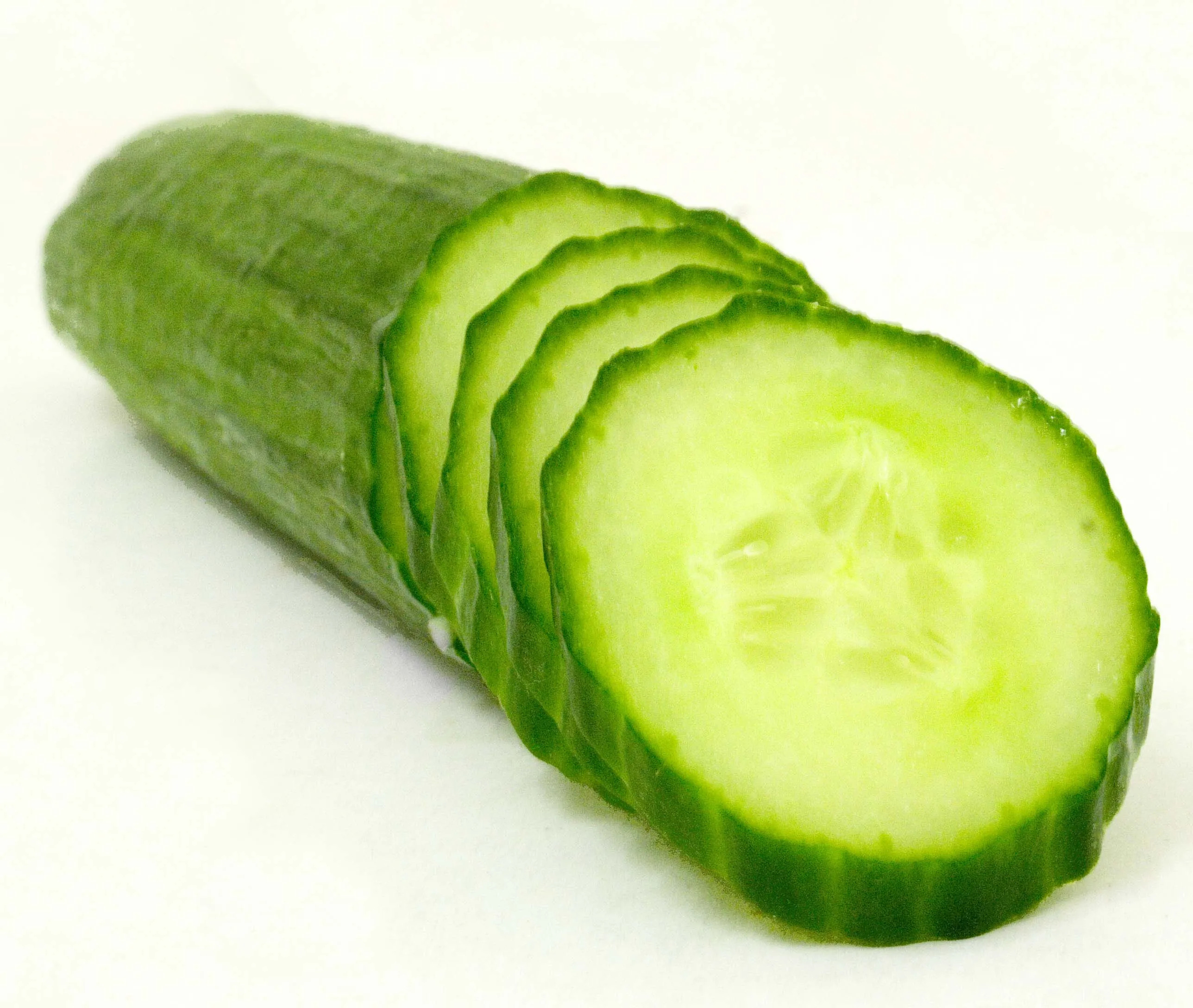 
High quality fresh cucumber 