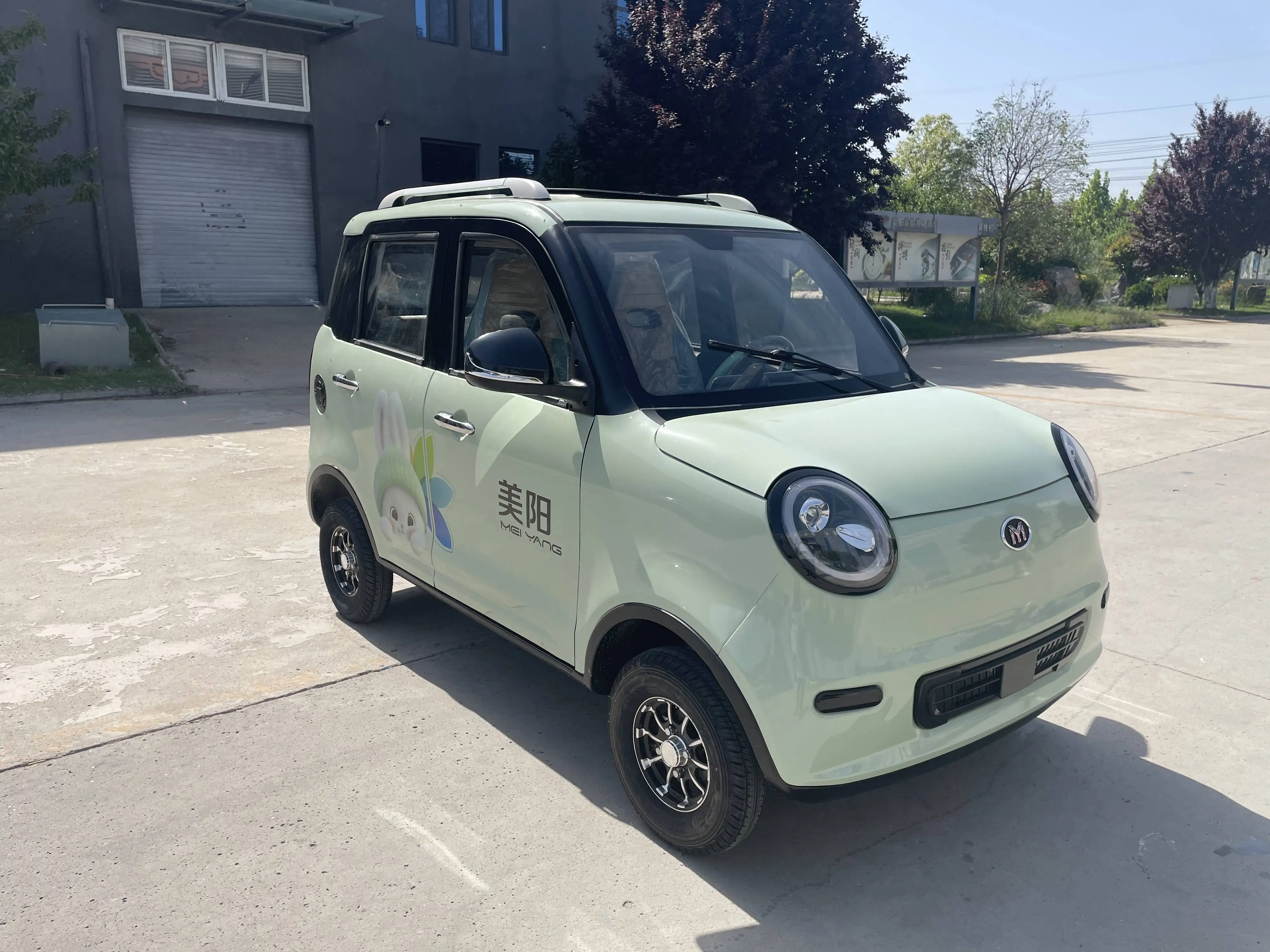 car for teenagers mini electric cars adult for sale electric cars China new energy vehicles