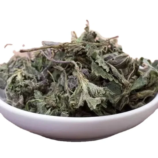 High Quality Wholesale Custom Cheap Nettle Leaf  Healthy Tea Drinks