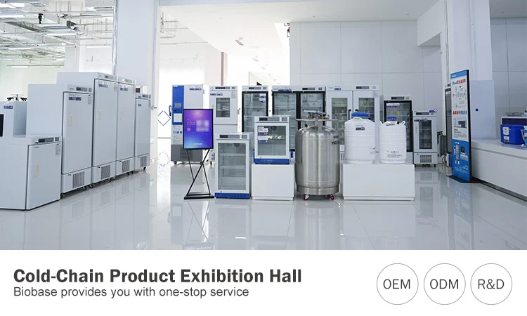 BIOBASE CHINA Factory Price Vacuum Drying Oven Polished Stainless Steel Oven For Lab And Hospital