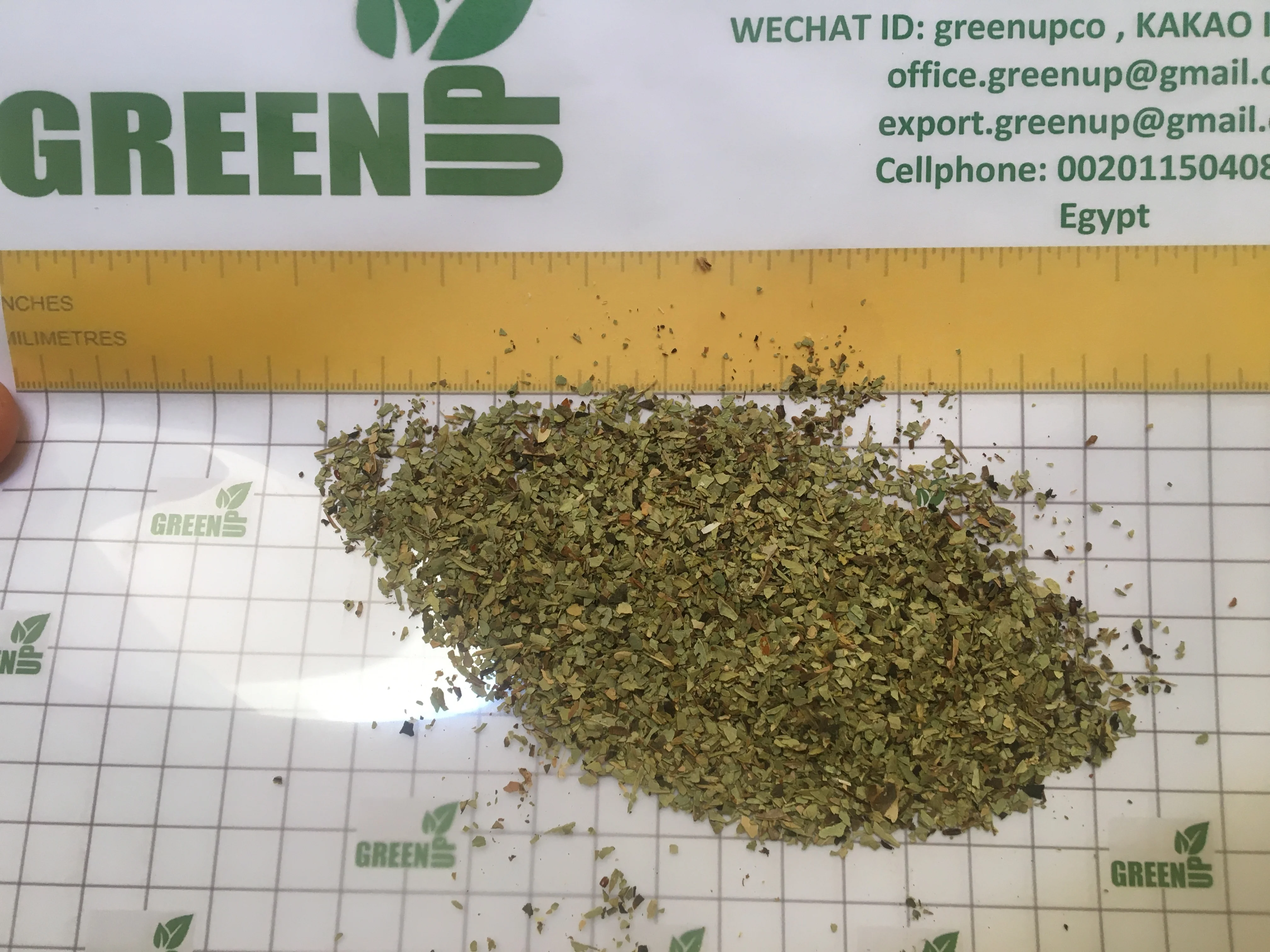 olive whole or crushed leaves green brown color no ash content no admixture no black leaves  no impurities fresh crops Oleaceae