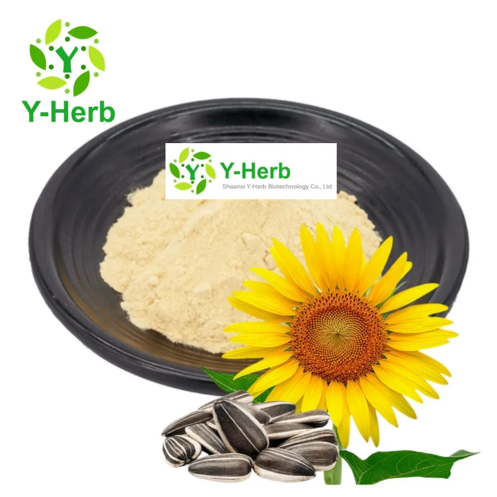 Sun Flower Lecithin 20% Phosphatidylcholine for Food Supplements Food Grade Sunflower Lecithin Powder/Sunflower Lecithin Granule