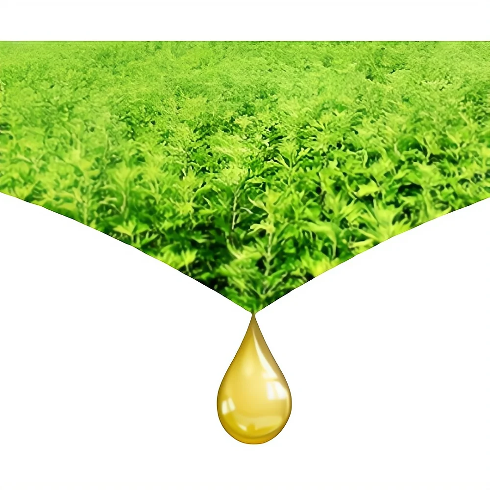 Wormwood essential oil is a natural skin care product