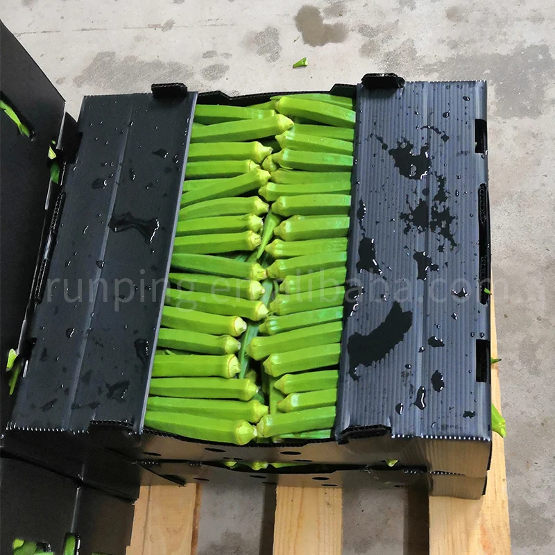 Corrugated plastic pp 5kg packaging boxes fresh okra
