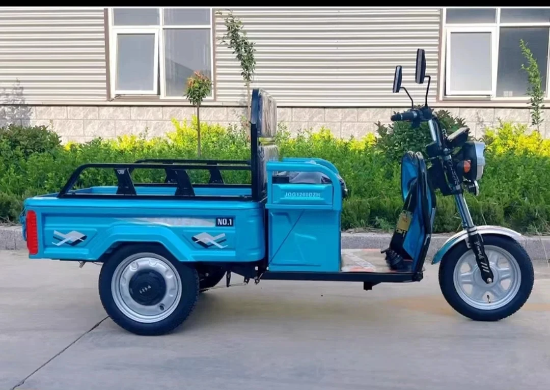 Three-wheeled electric car house hold  old people pick up children mountain pull goods small scooter.