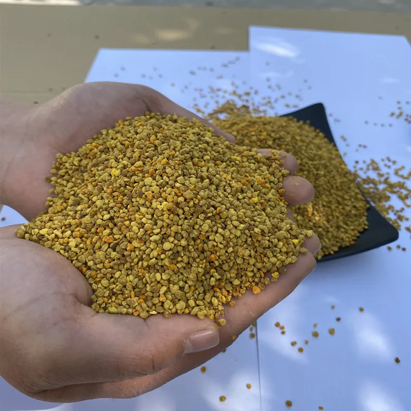 Wholesale Food Grade Natural Bee Pollen powder Raw Rape Bee Pollen with Yellow Bee Pollen