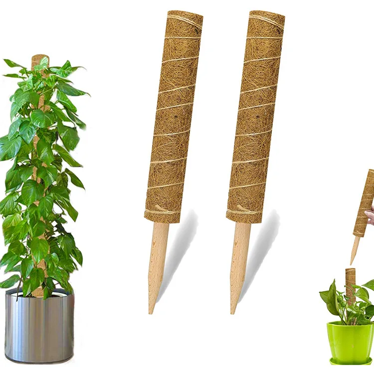 tension pole 30 40 50 cm green rose stick coconut palm stick plants climbing frame factory direct sale