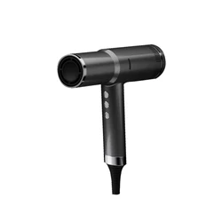 OEM Electric High Watt High Speed Hair Dryer 2000w Salon Professional Negative Ion Brushless Hair Dryer