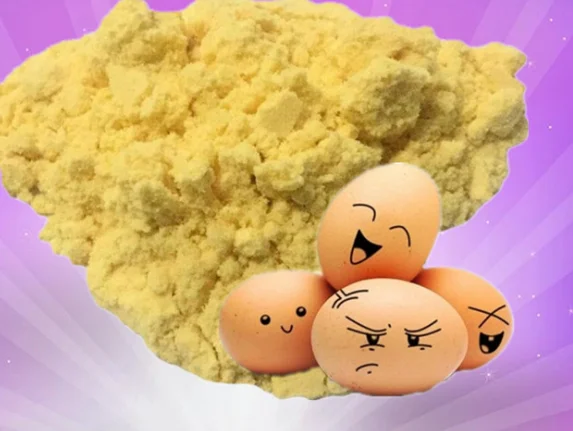 low price high quality Egg powder 100% natural