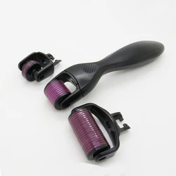 changeable heads professional led derma roller /microneedling dermaroller 3 in 1 functions titanium needles rolling system