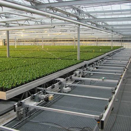 Hot Selling Mobile Hydroponic Nursery Removable Pallet Logistics Nursery Bench