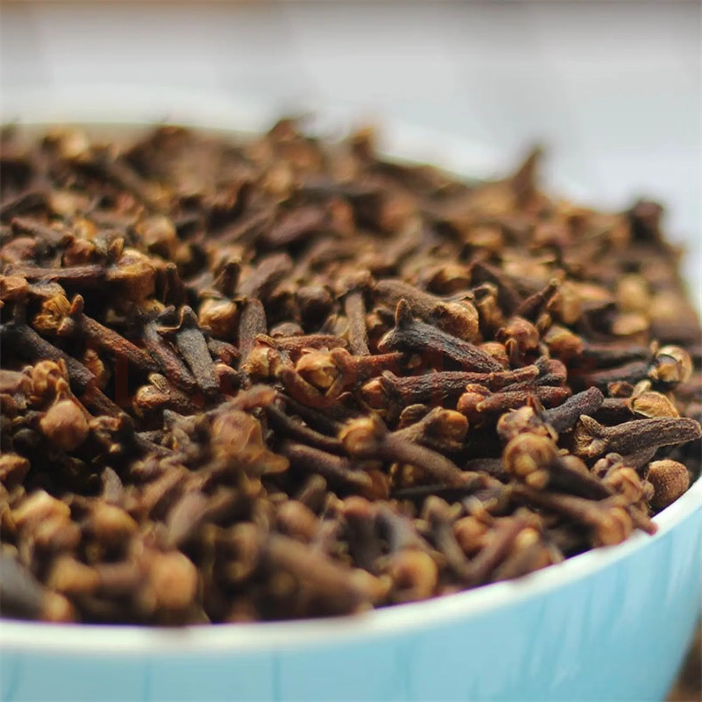 Hot Selling High Quality Exported Ceylon Cloves Seed Bulk Spices Herb Dried Spicy Whole Cloves Raw Spices Direct from Source