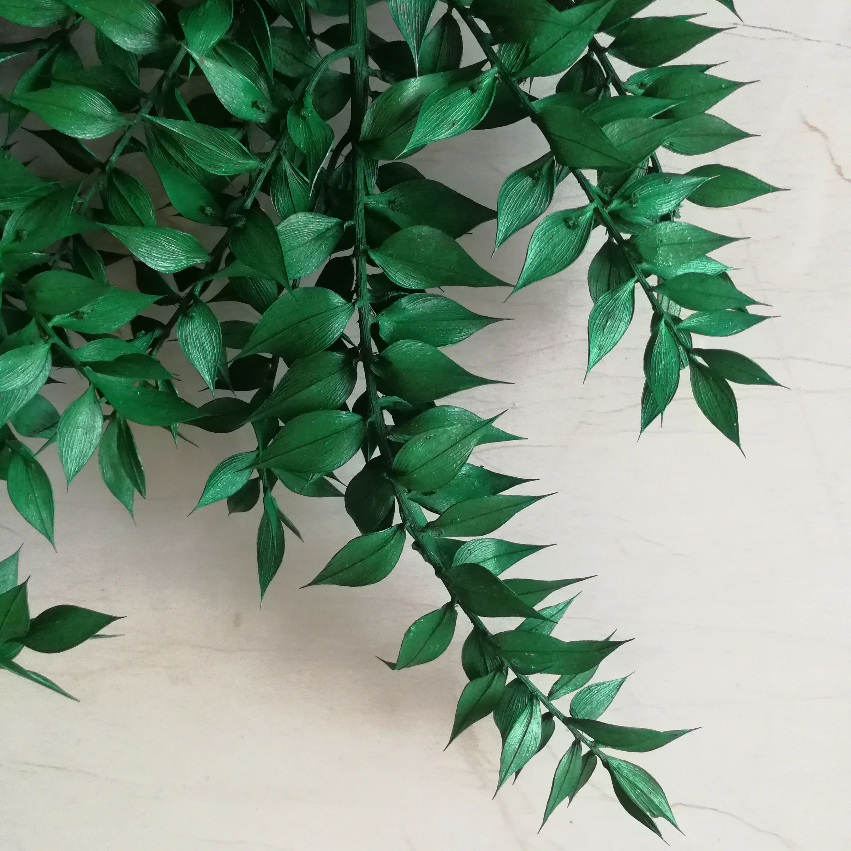 Real Flower ruscus bunch Arrangement dracaena sanderiana with Green Leaf